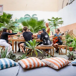 Jungle House Ostello